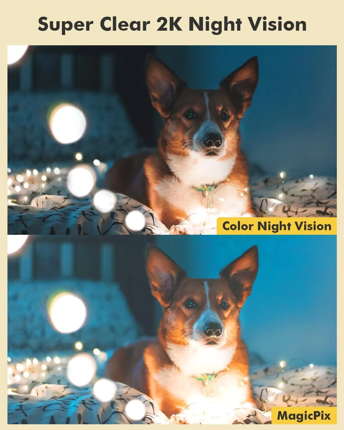 360° PTZ Wired WiFi Camera 24/7 Dog Pet Camera Indoor Security Camera with 2.4 Ghz WiFi Dzees CA49