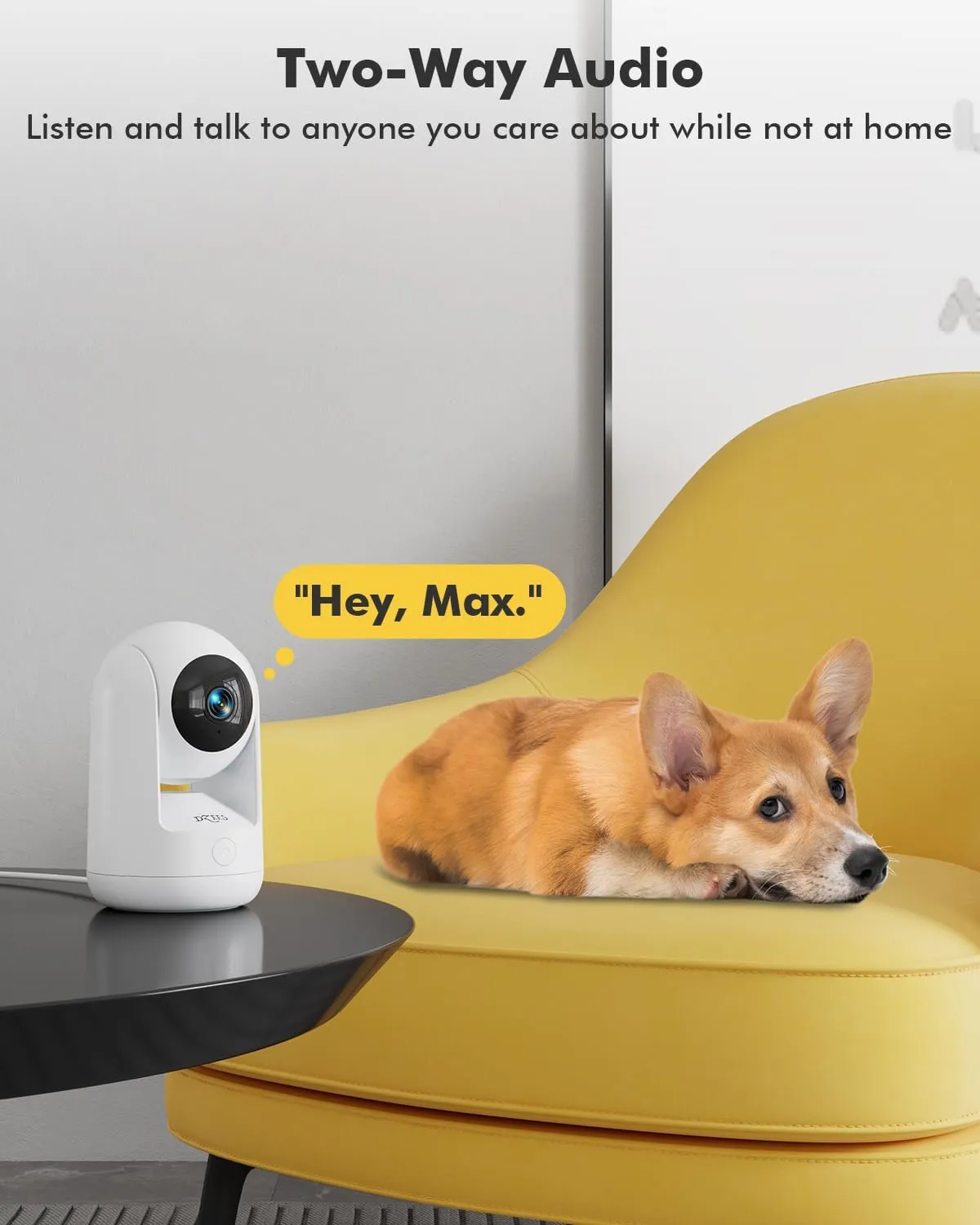 360° PTZ Wired WiFi Camera 24/7 Dog Pet Camera Indoor Security Camera with 2.4 Ghz WiFi Dzees CA49