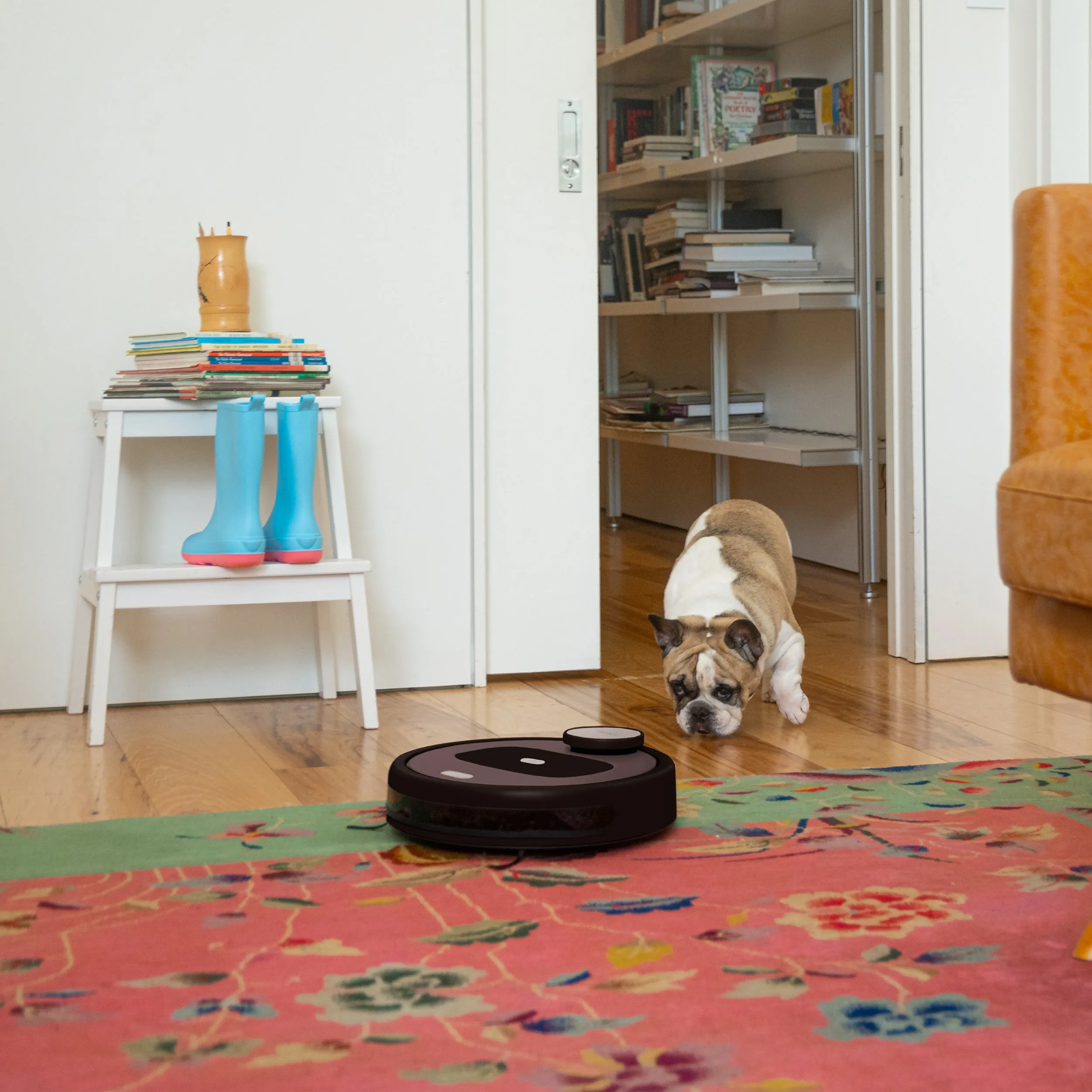 Bob PetHair Appetite Robotic Vacuum Cleaner
