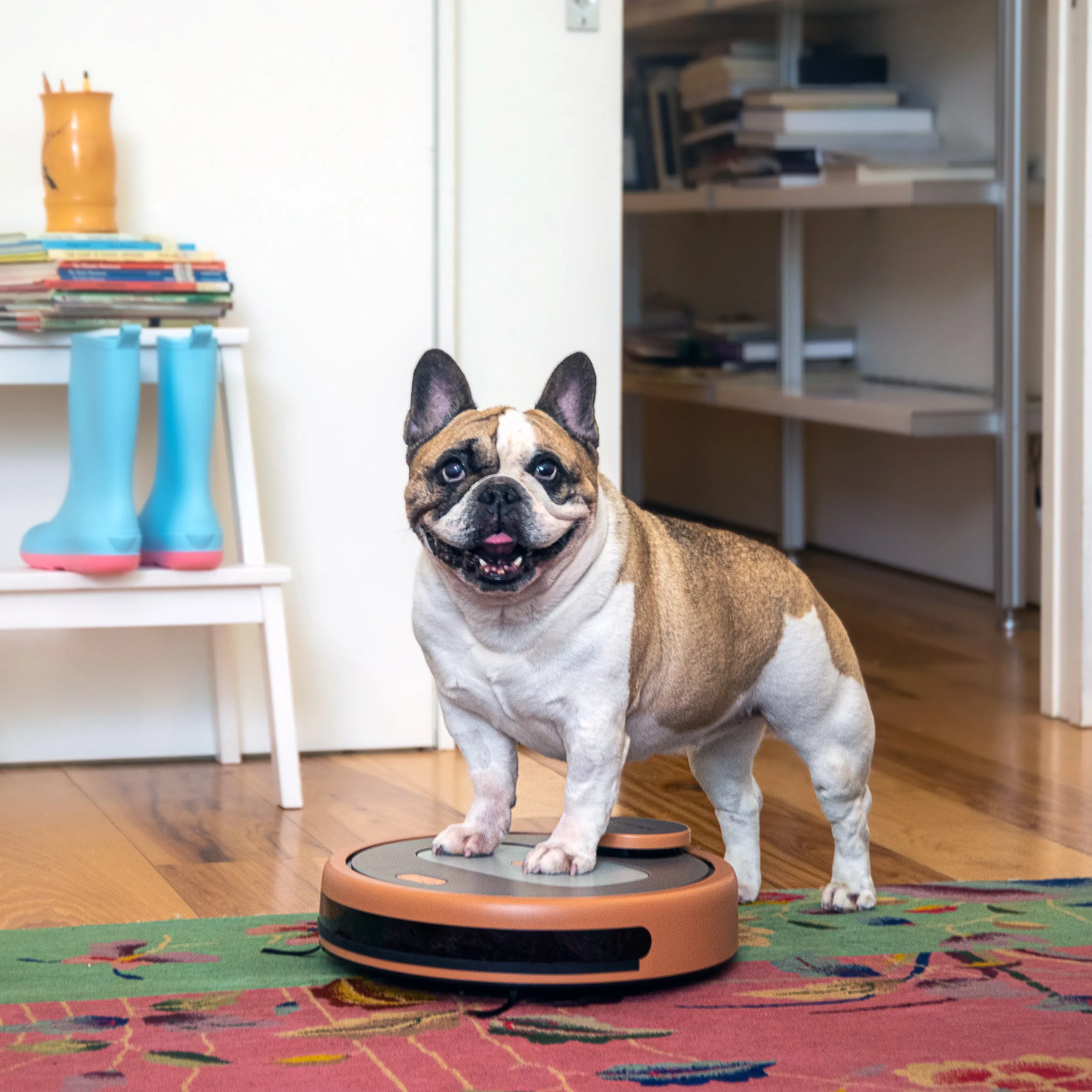 Bob PetHair Appetite Robotic Vacuum Cleaner