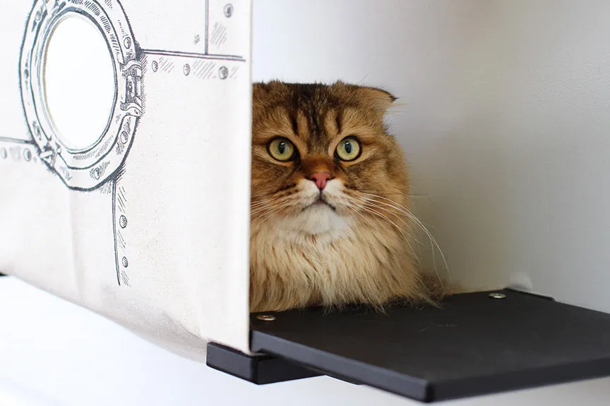 Cat Cubby with Perches - Covered Cat Bed