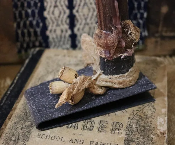 Child's Reader Wilson dated 1860 and Book Light