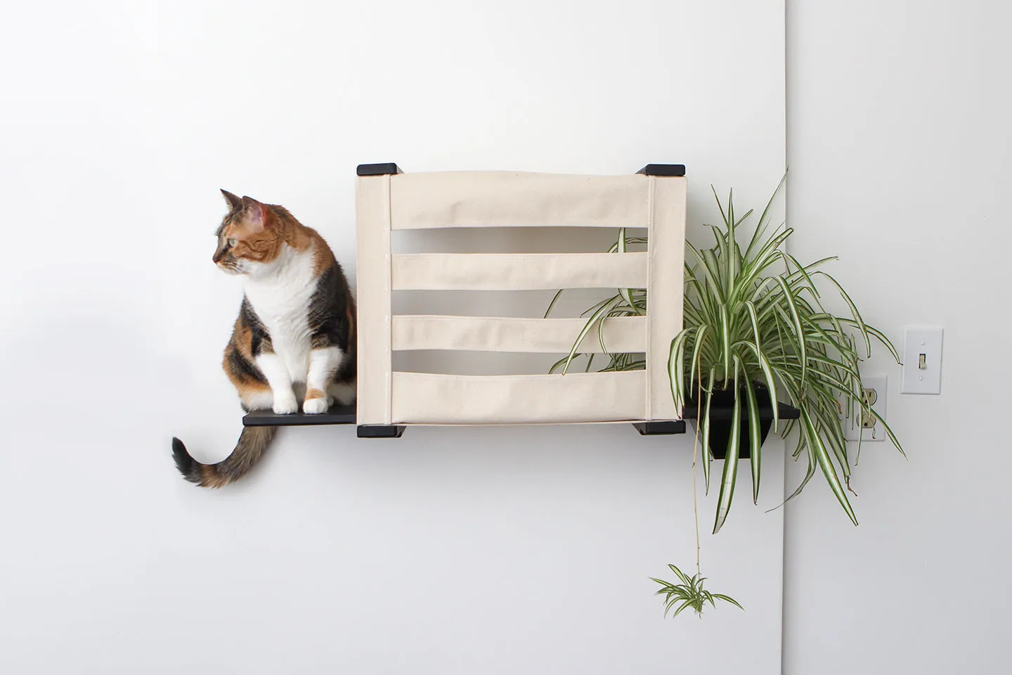 Deluxe Cat Cubby Bed (For Walls)