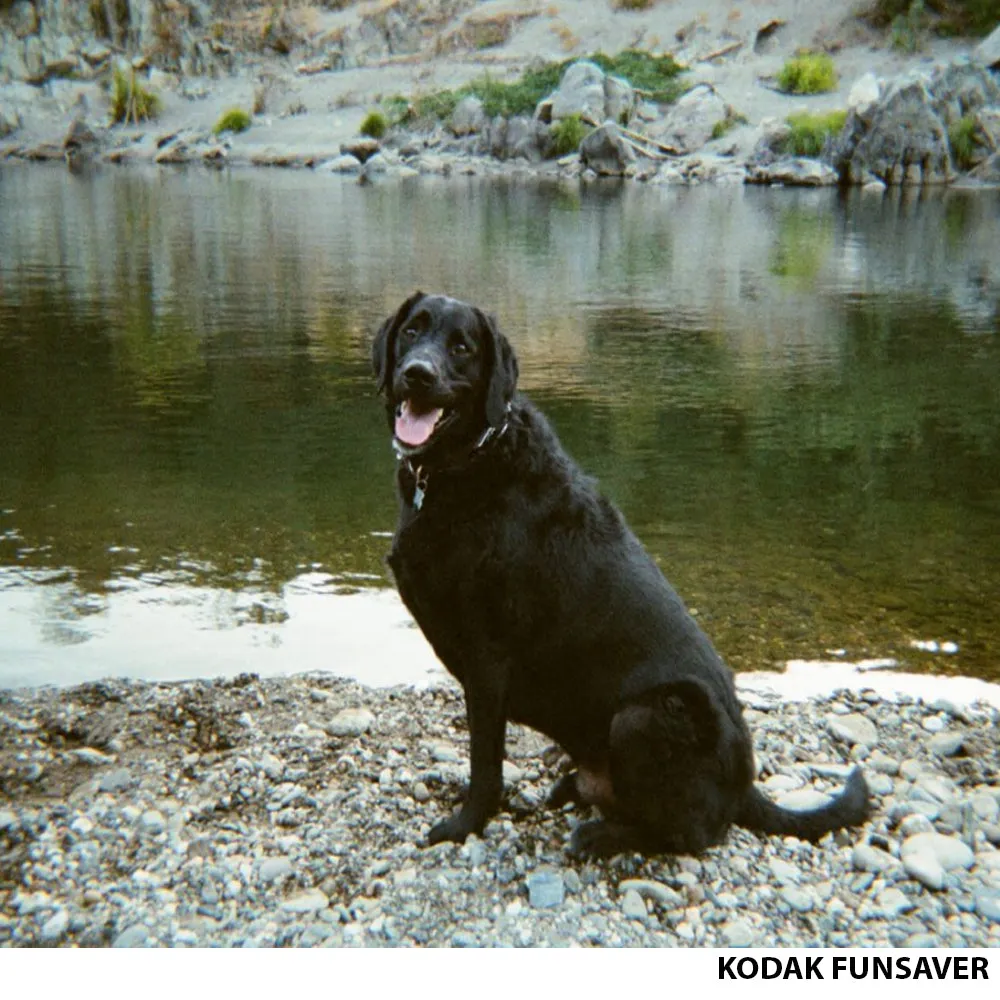 KODAK SUC FunSaver Disposable Analog Film Camera with 27 Exposures Shots, 800 ISO, 35mm Film Format and C-41 Print Process for Point and Shoot Photography