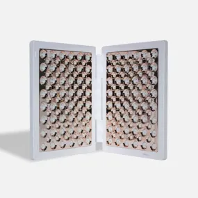 Lux Collection dpl IIa – LED Light Wrinkle Reduction & Acne Treatment Panel