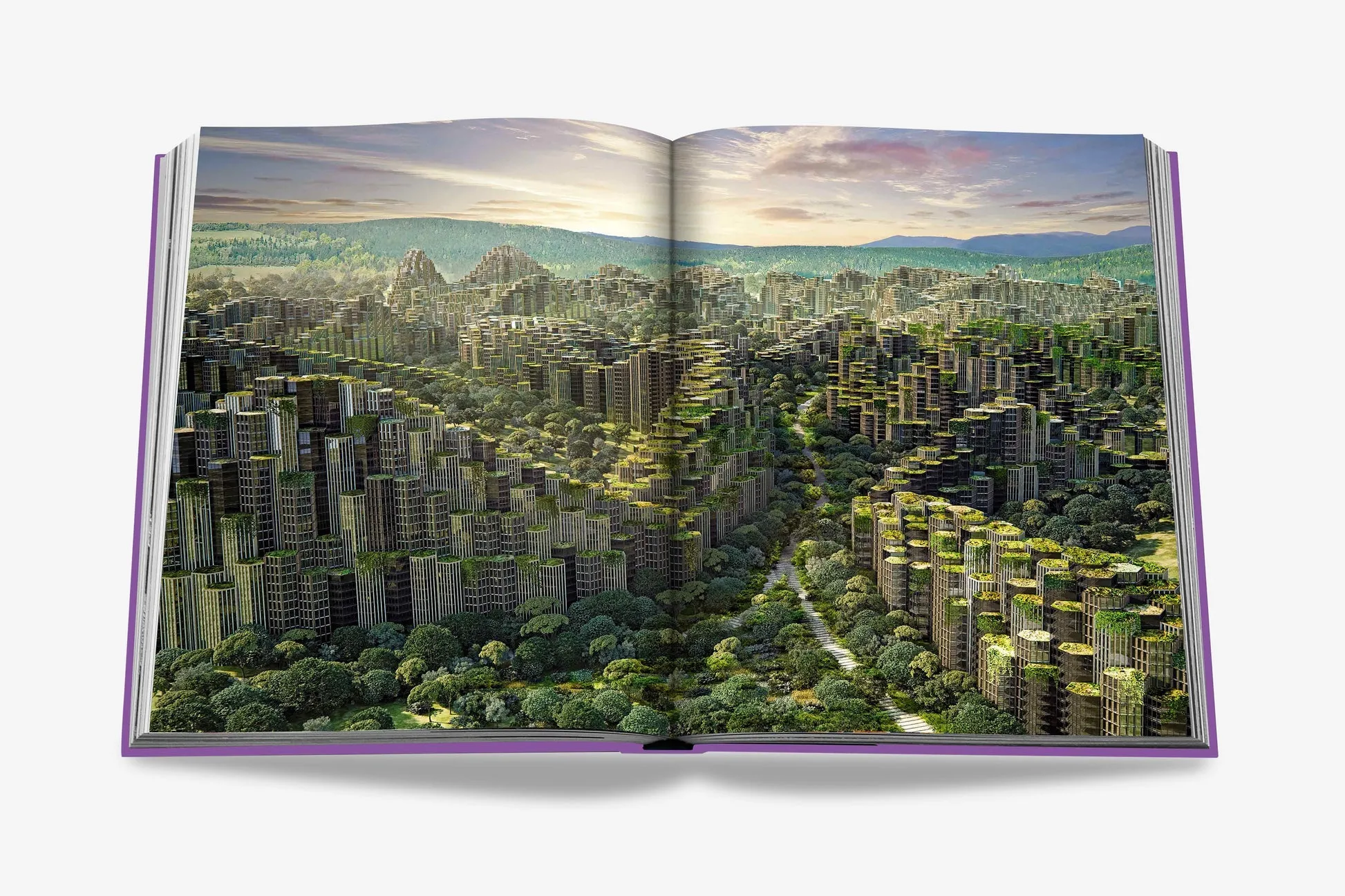 Metaverse Dream