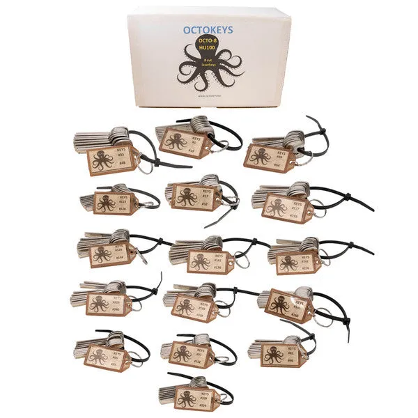 OCTOKEYS - HU100 Cut Laser Key Origination System