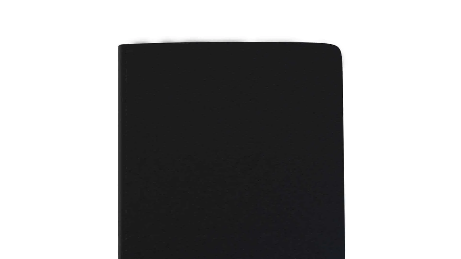 Privacy Passport Cover: prevent identity fraud