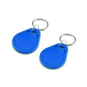 RFID Tag with Keychain